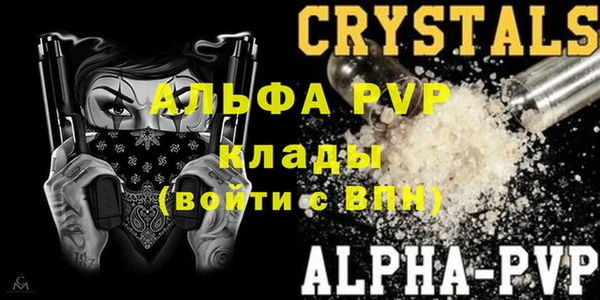 spice Аркадак