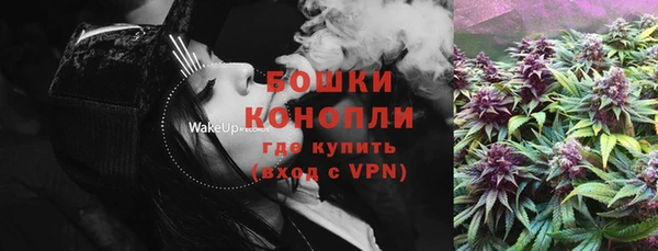 spice Аркадак