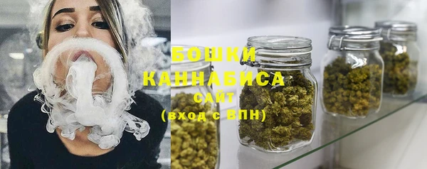 spice Аркадак